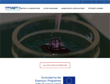 Tablet Screenshot of emm-nano.org